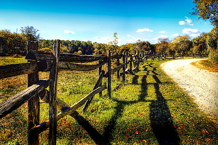 landscape of green grass field with wood fence thumbnail