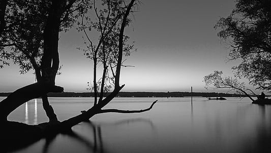 grayscale photo of body of water with trees bending near boat thumbnail