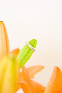 silver-colored ring thumbnail