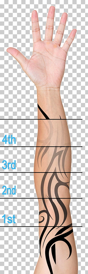 54 Laser Tattoo Removal Png Cliparts For Free Download Uihere