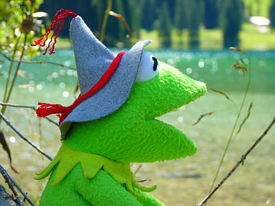Kermit the Frog photography thumbnail