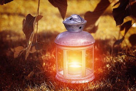 photo of gray candle lantern on green grasses thumbnail