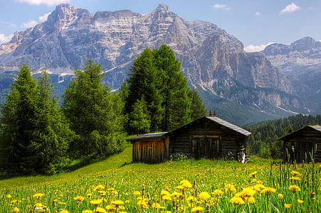 brown and black house near mountains thumbnail