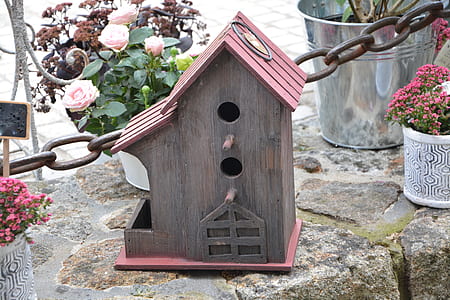 brown and pink wooden bird nesting box thumbnail