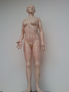 woman body mannequin thumbnail