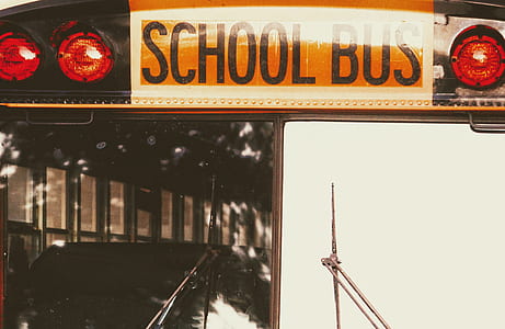 macro photography of school bus thumbnail