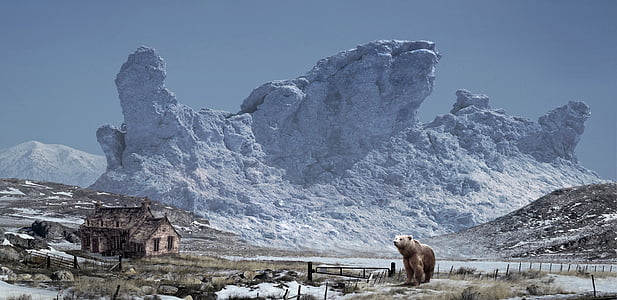 brown bear standing near wooden cabin thumbnail
