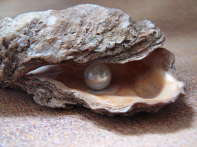 white pearl on shell thumbnail