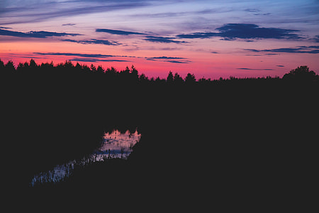 silhouette photo of trees near body of water thumbnail