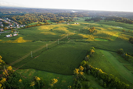 bird's eye view of grasslands thumbnail