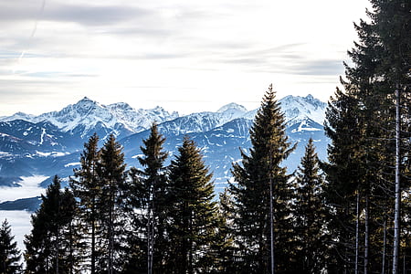 landscape photography of mountain ranges and trees thumbnail