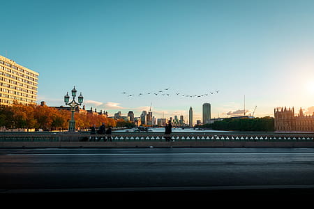 Bird Flying over Bridge thumbnail