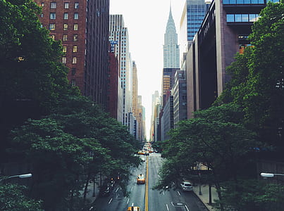 landscape of road near buildings thumbnail