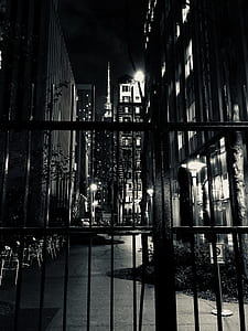 Photo of Black Steel House Gate thumbnail