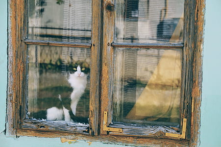 brown window frame thumbnail