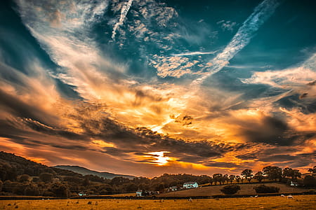 Orange and Blue Skies during Sunset thumbnail