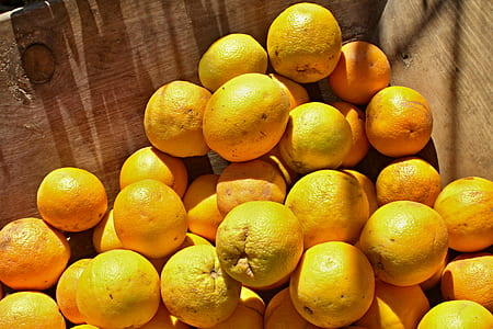 yellow citrus fruits thumbnail