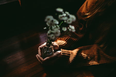 person holding white petaled flower in vase thumbnail