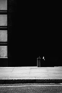 grayscale photography of luggage on pavement thumbnail