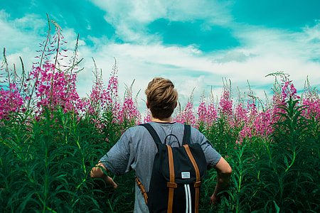 man in gray shirt with black and brown backpack on foxgloves flowers under blue and white cloudy sky thumbnail