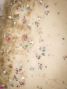 bird's eye photography of people sunbathing seashore thumbnail