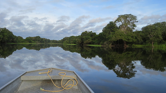 boat on body of water with trees at daytime thumbnail