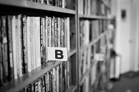 grascale photo of book shelves thumbnail