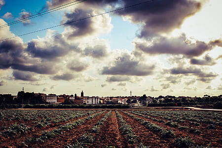 light, dawn, landscape, nature thumbnail
