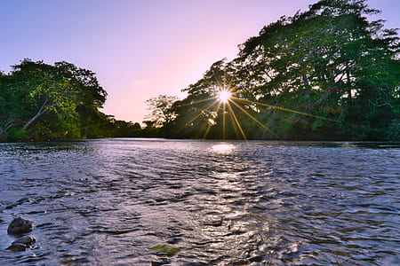 blue lake surrounded by trees thumbnail