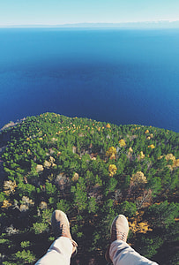 aerial photography of forest near body of water thumbnail