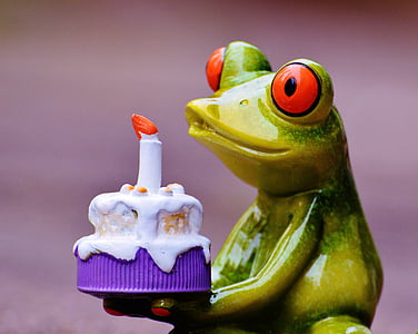 macro shot photography of green ceramic frog figurine holding cake thumbnail