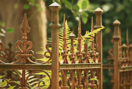green ferns behind brown metal fence thumbnail