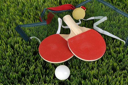 two red-and-brown ping pong rackets thumbnail