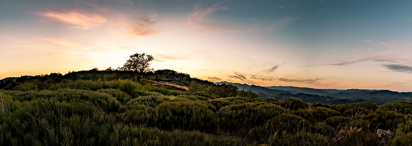 green trees and mountain during sunset thumbnail
