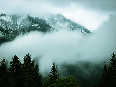 white and grey glacier mountain thumbnail