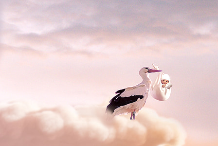 white and black stork holding baby thumbnail