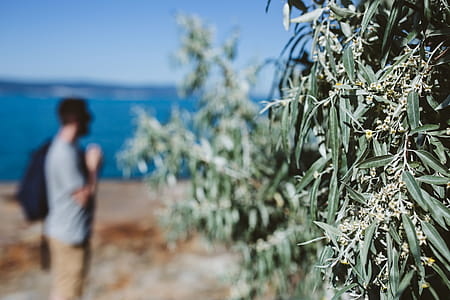Man looking out to sea thumbnail