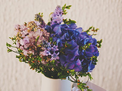purple and blue flowers thumbnail