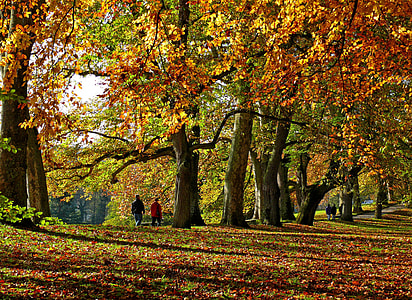 two person walking beside tees thumbnail