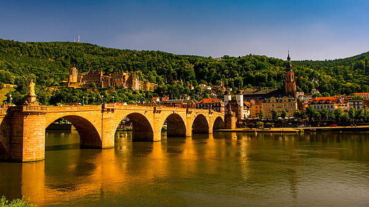 brown concrete arch bridge near cathedral across hill covered with trees at daytime thumbnail