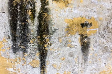 white, black, and yellow concrete wall thumbnail