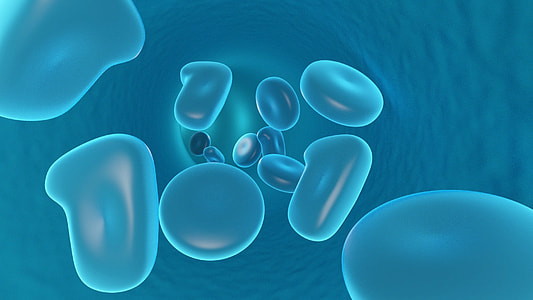 Blood Cells in an artery thumbnail