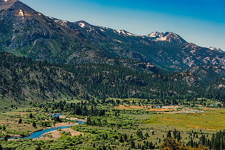 trees covered mountain under blue sky during daytime thumbnail
