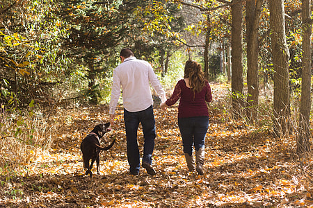 man and woman with adult black Labrador retriever walking between green leaf tree during daytime thumbnail