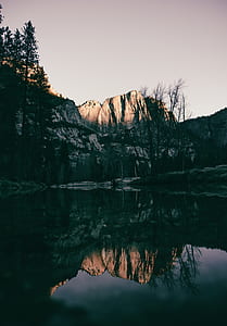 panorama photography of trees near body of water and mountains at daytime thumbnail