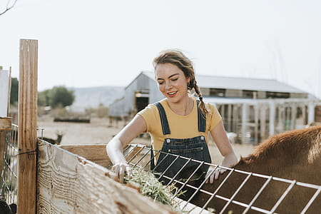 Woman Feeding Animal thumbnail