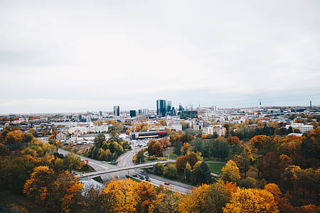 City Landscape thumbnail