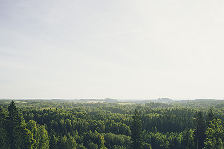 Latvian landscape thumbnail