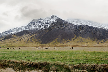 Wide-angle landscape of the fields and mountains in Iceland thumbnail