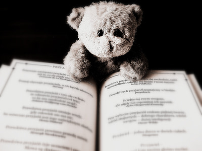 brown teddy bear and notebook thumbnail